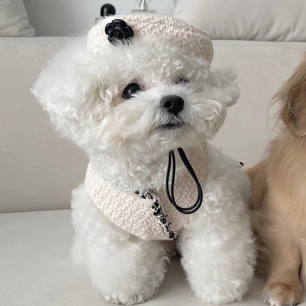 Pet Dog and Cat clothes